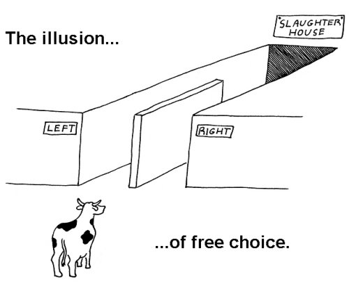 illusion_of_free_choice.jpg