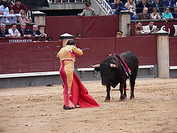 250px_Matador.JPG