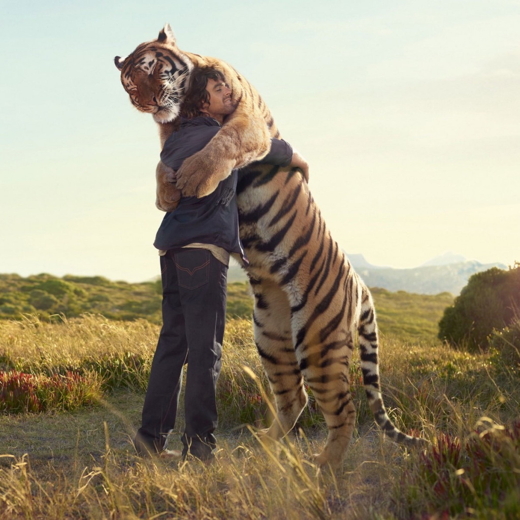 man_tiger_hug_1024x1024.jpg