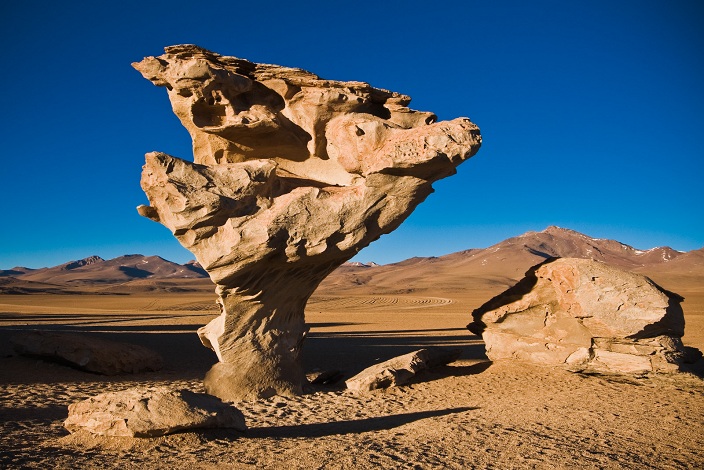 Arbol_de_Piedra__Bolivia.jpg