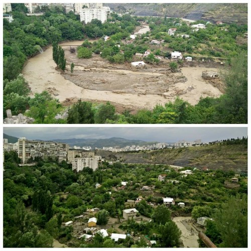 veres_xeoba_axla_500x500.jpg