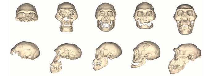 earliest_non_african_wide.jpg
