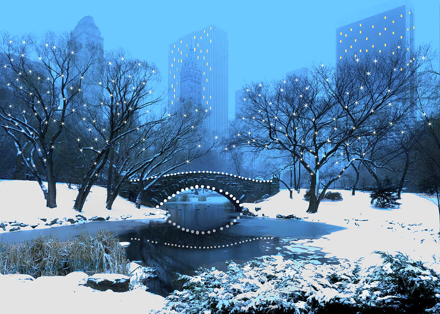 new_york_winter_in_central_park_for_the_holidays_elaine_plesser.jpg