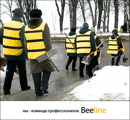 beeline6.jpg