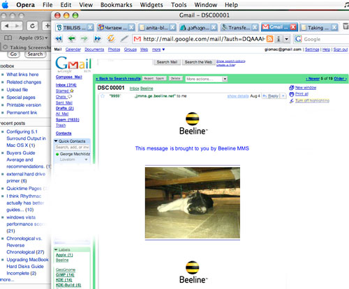 Picture_1.jpg