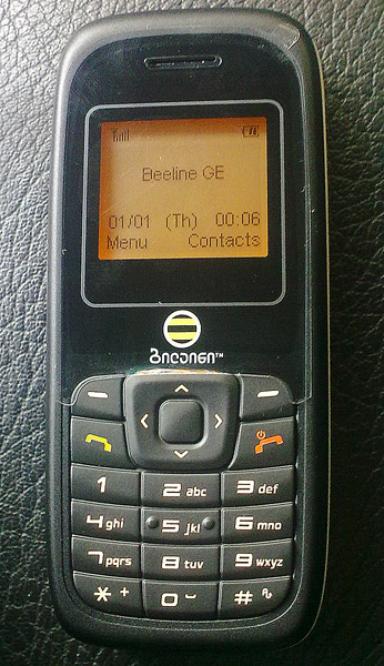 beeline.jpg