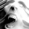25024998647b724433d147.jpg