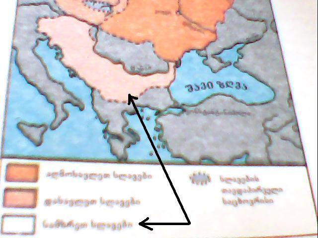 Copy_of_Picture_001.jpg