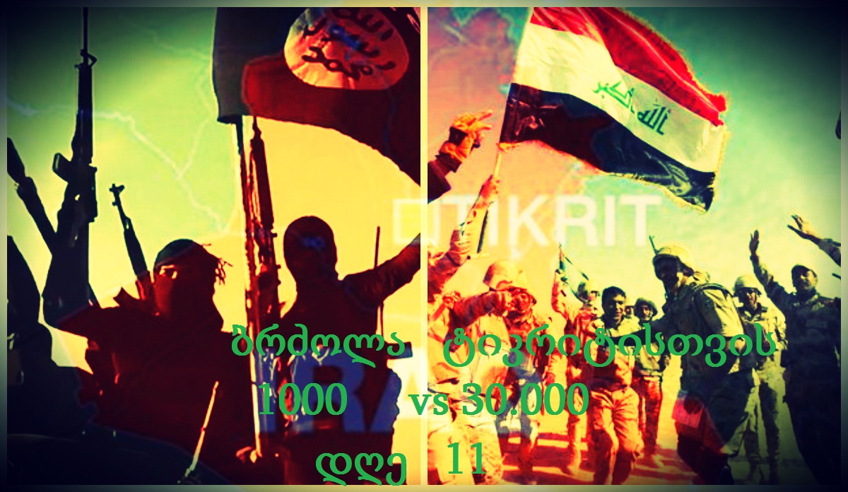 collage___Copy.jpg