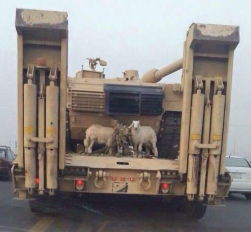 abrams.jpg