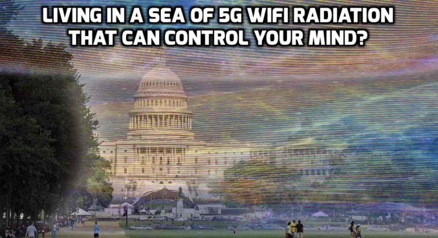 6657567.jpg
