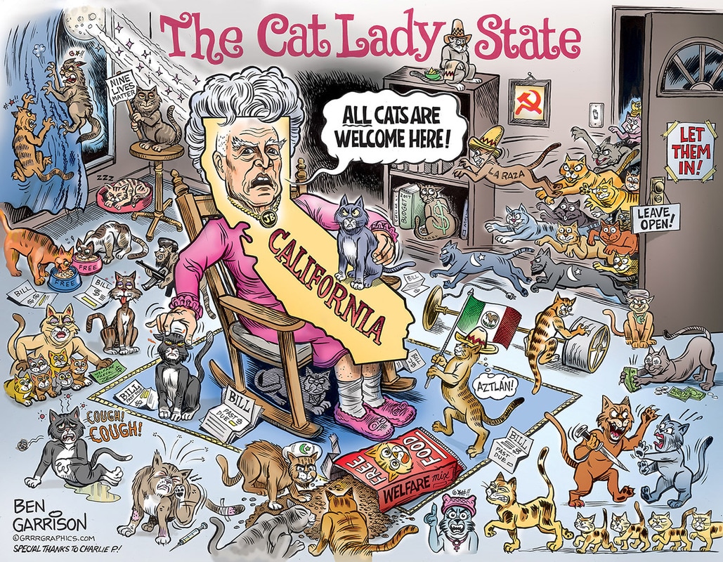 cat_lady_state_ben_garrison_1_orig.jpg