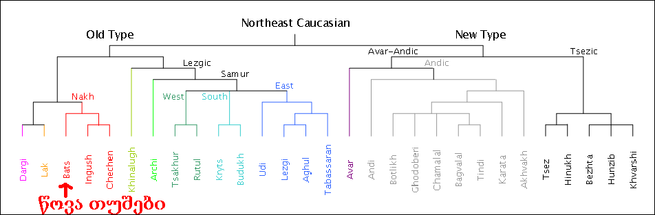Northeast_Caucasian_Splits.png