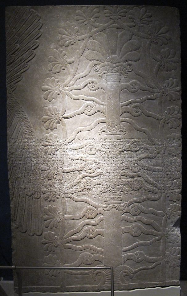 553265_938101832874700_5116513674107516480_n.jpg