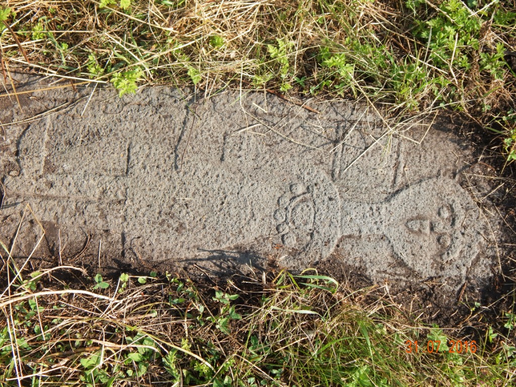 DSCN8712.JPG