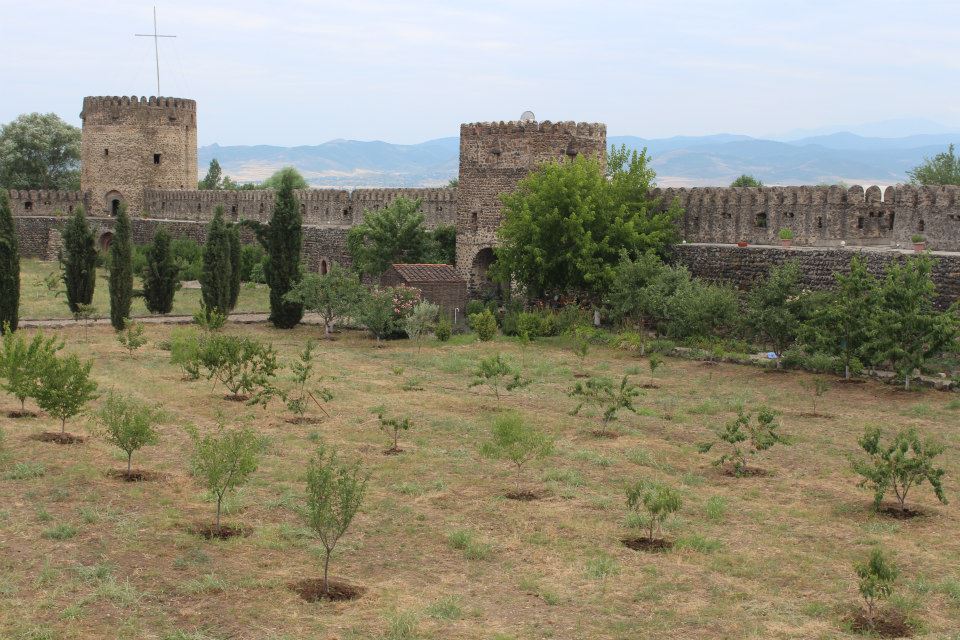 CURTAVI_2.jpg