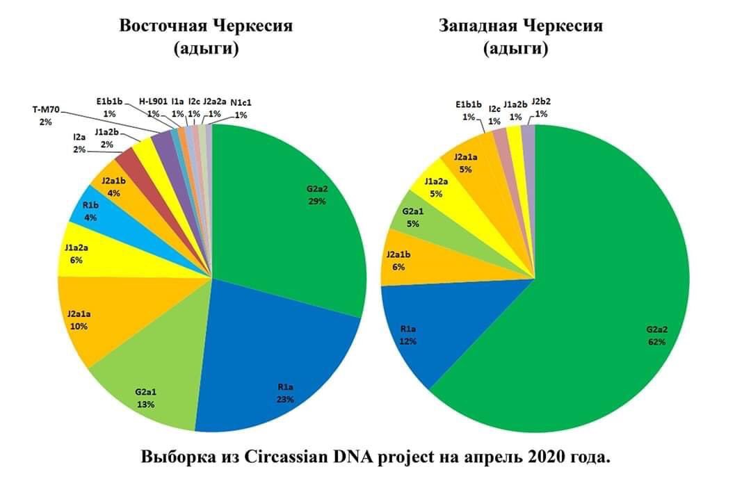 circassian_dna.jpg