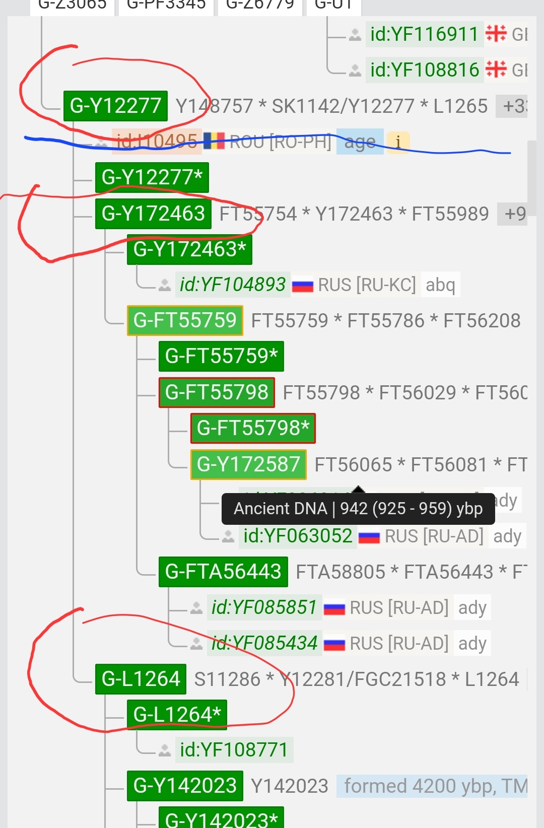 Screenshot_20231201_111337_Chrome.jpg