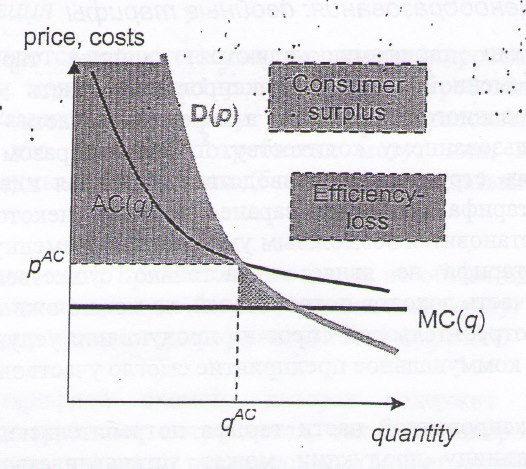 547894_4757076054100_1471260343_n.jpg