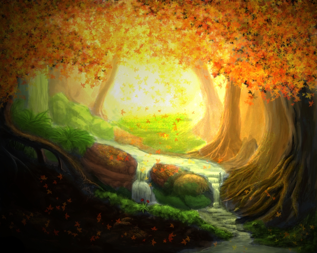 Forest.jpg