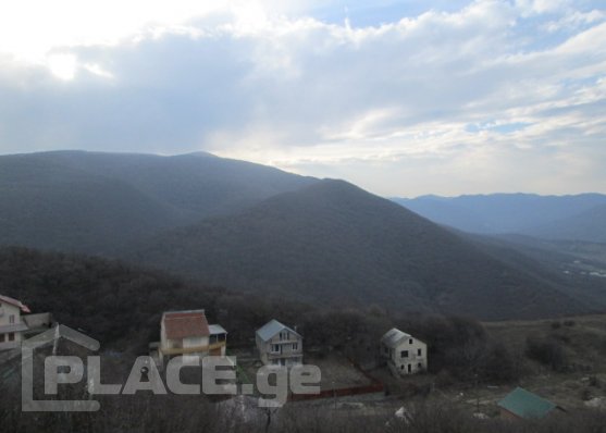557x398_1395045591__2_.jpg