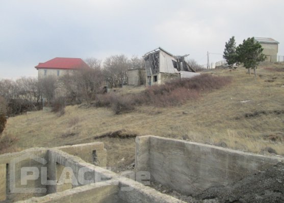 557x398_1395045591.jpg