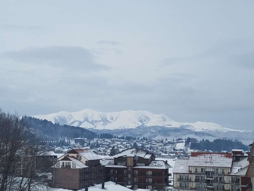 20180125_095835.jpg