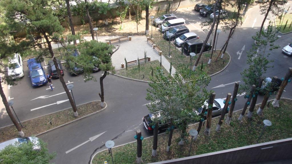 DSC02578.JPG