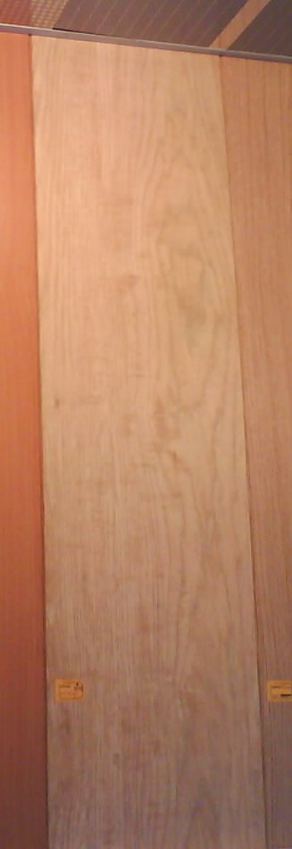 DSC00104aa.jpg