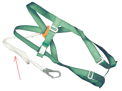 whole_20body_20safety_20belt.gif