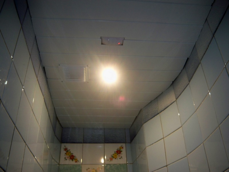 06.jpg