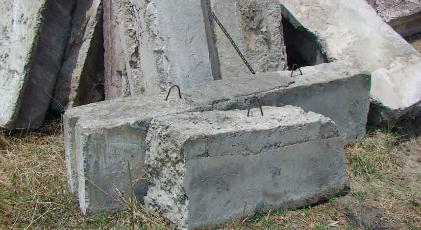 sokol.jpg