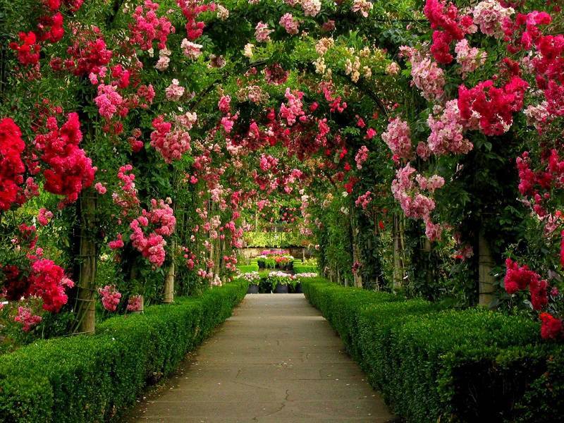 gardens_around_the_world_butchart_gardens_walkway.jpg