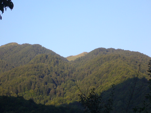 P1050079.JPG