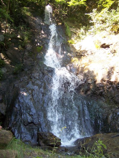 100_1026.jpg