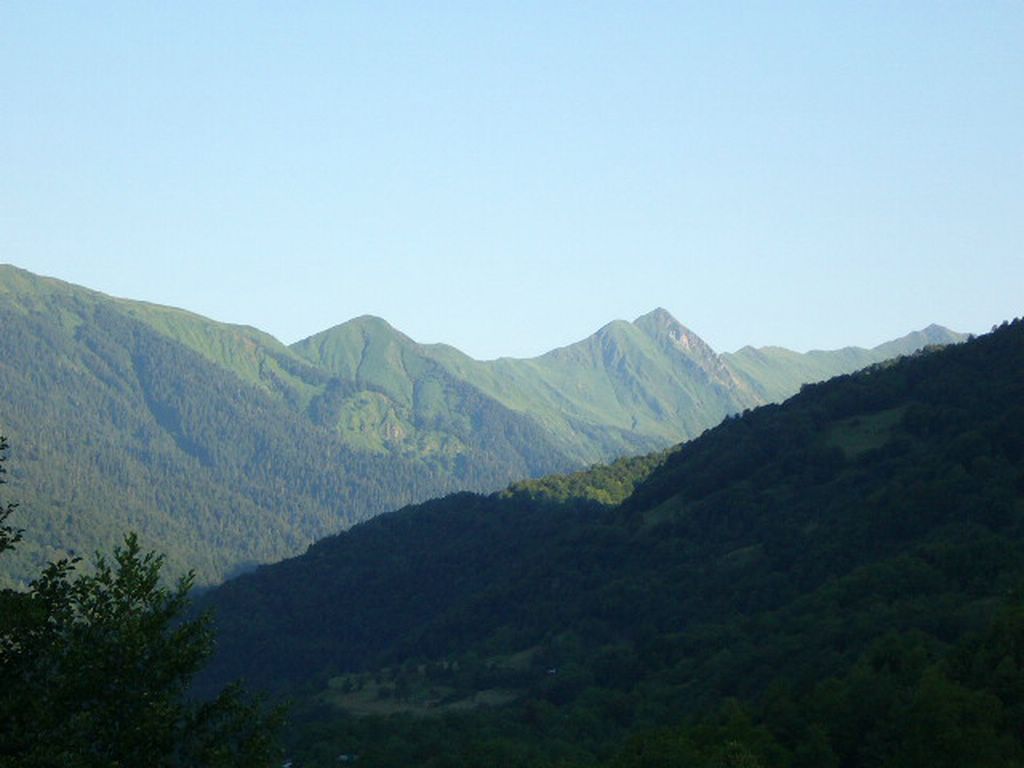 P1030559.JPG