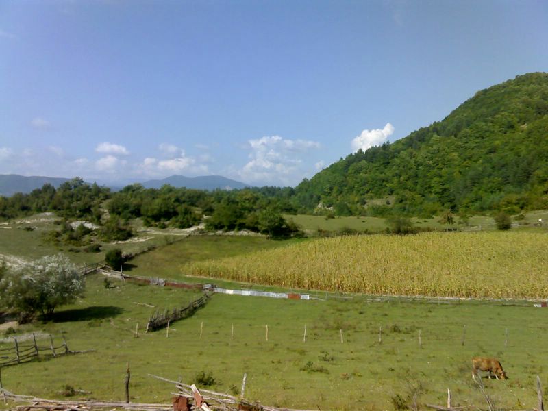 13_09_07_1516__800x600_.jpg