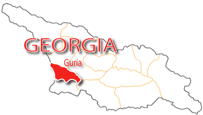 guria_2.jpg