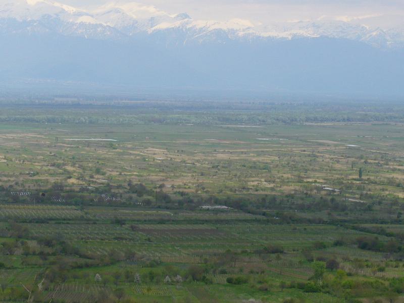 alaznis_veli.JPG