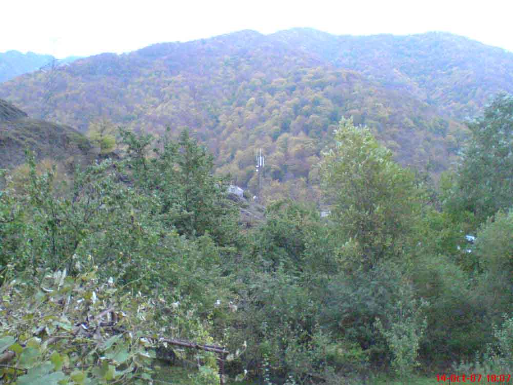 DSC00558_copy.jpg