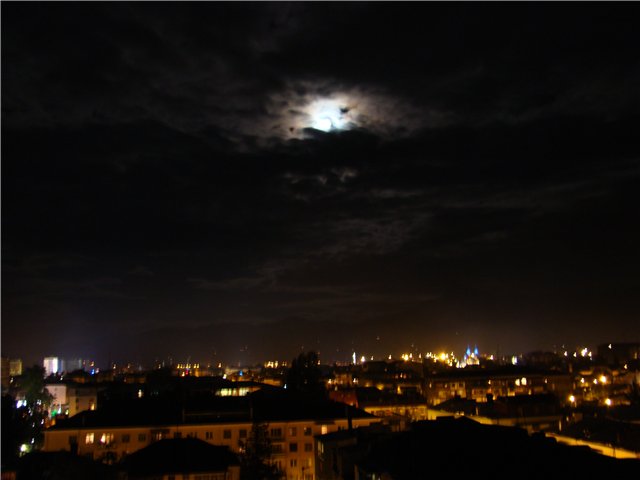 batumi_night.jpg
