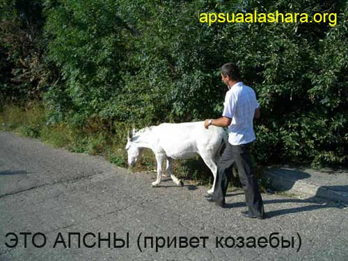 post_26_1176676110.jpg