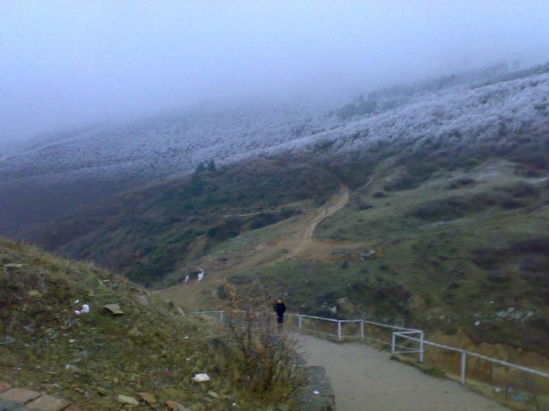 23112007243.jpg