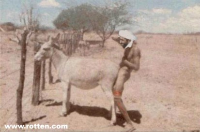 arabian.jpg