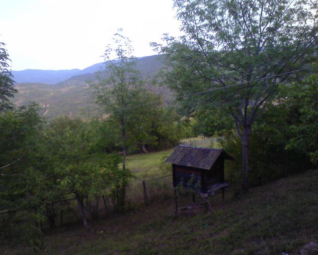 PIC_0244__640x480_.jpg