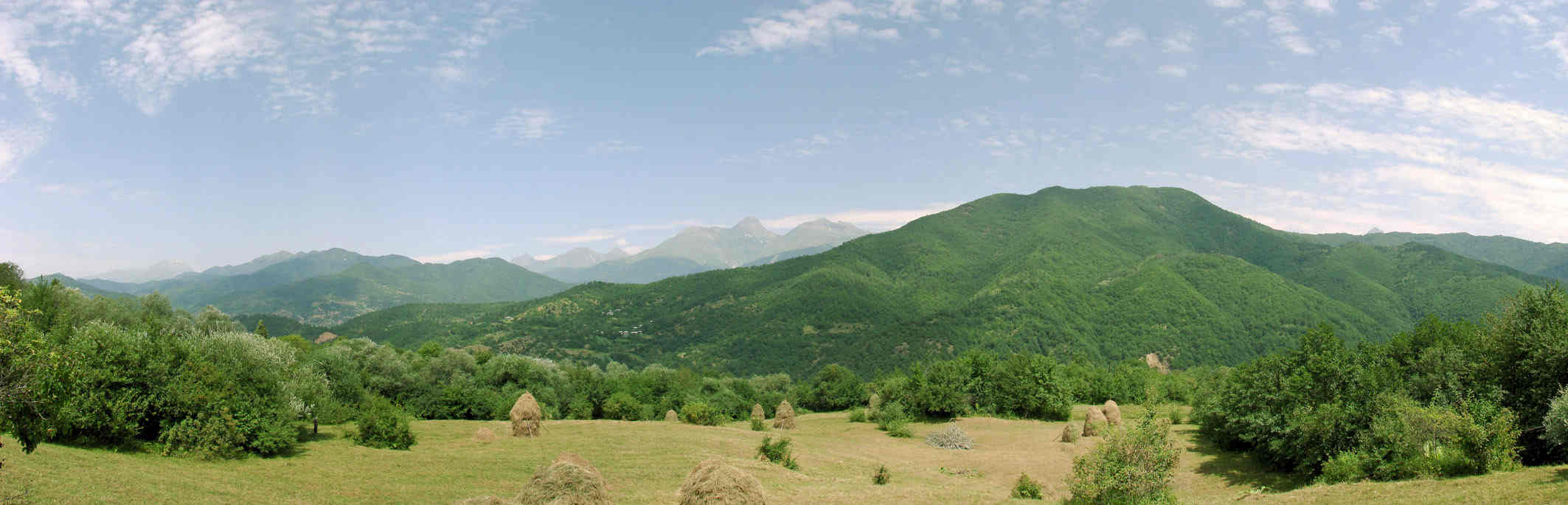 Pipileti.jpg
