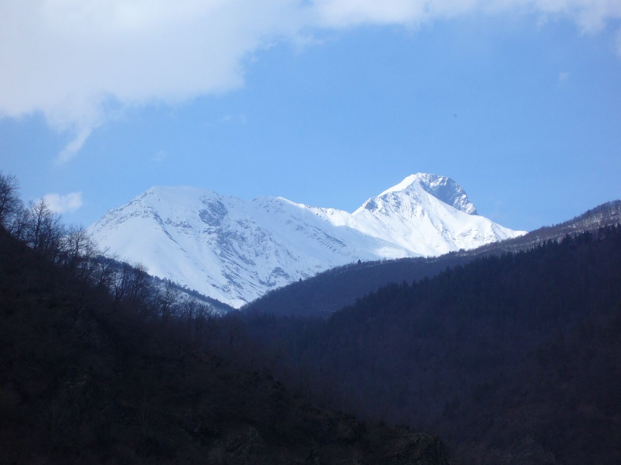 P1010109.jpg