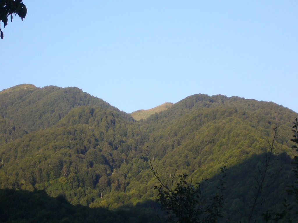 P1050079.JPG