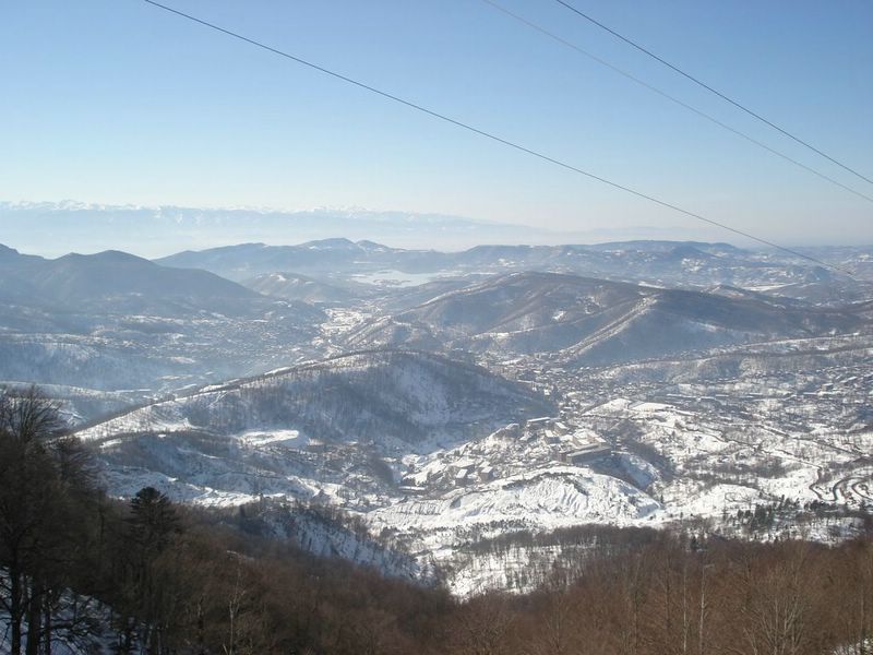 DSC00748__800x600_.JPG