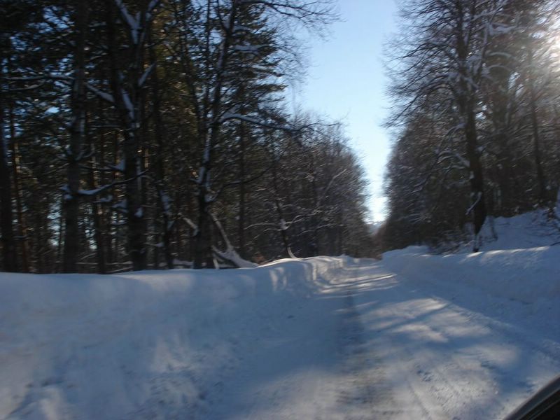 DSC00778__800x600_.JPG